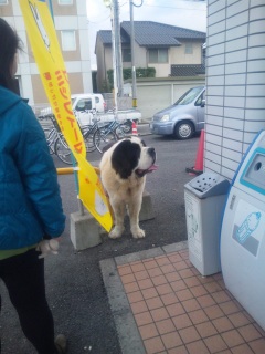 ������